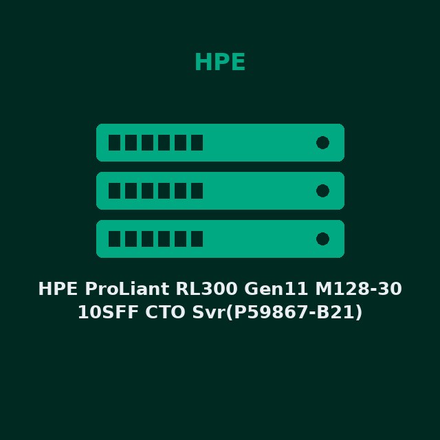 HPE ProLiant RL300 Gen11 M128-30 10SFF CTO Svr(P59867-B21)